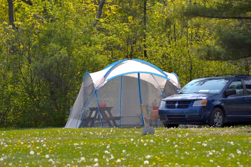 Escape to Enchantment: Your Guide to Clover Meadow Campground, Northern California