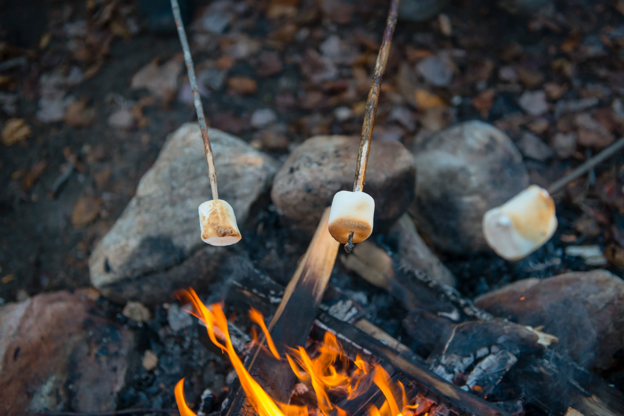 Marshmallows in a fire