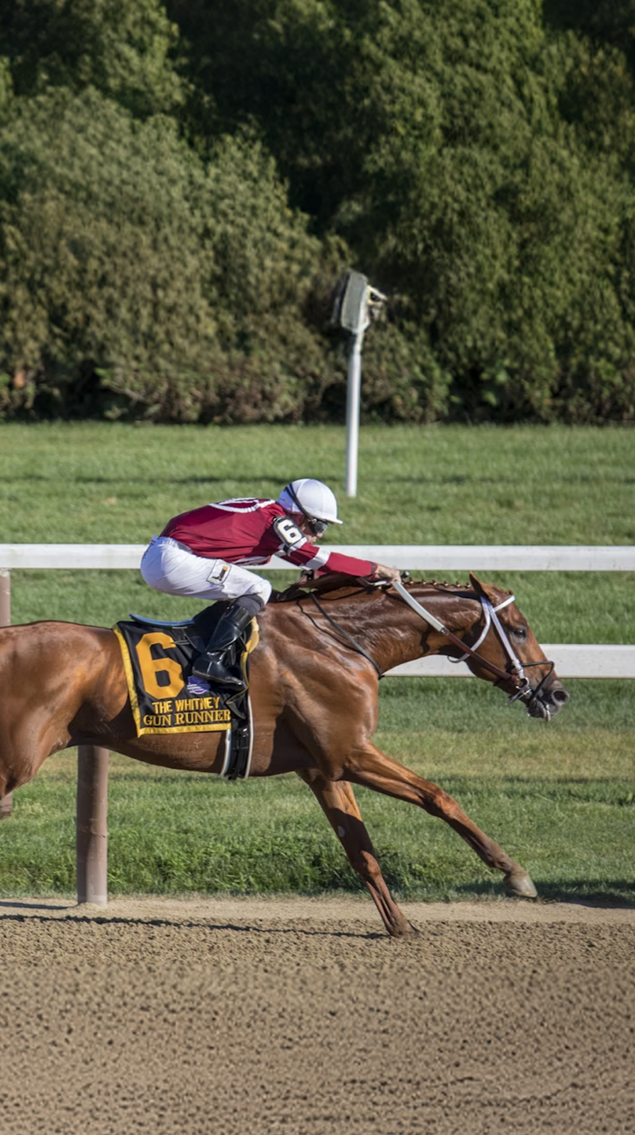 Horse-racing_1