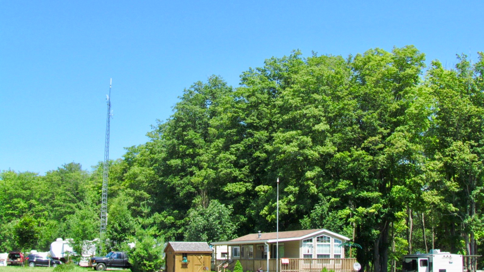 Kilsyth-County-Campground-seasonal-camping-surrounded-by-maple-trees
